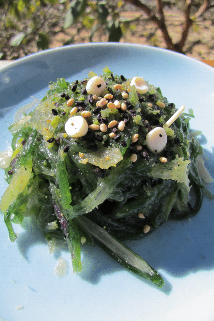 Seaweed Salad Recipe
